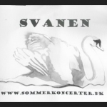 Svane: Foto: Kulturnetværket Svanen